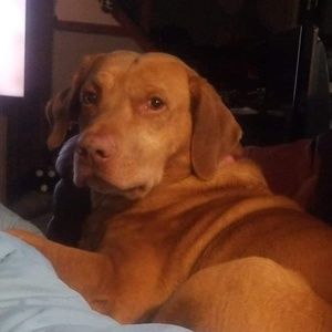 Meet your Posher, Gina